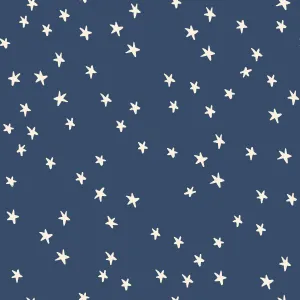 1/2 Yard - Starry Bluebell RS4109 60- Ruby Star Society - Alexia Abegg - Quilting Cotton - Starry Starry