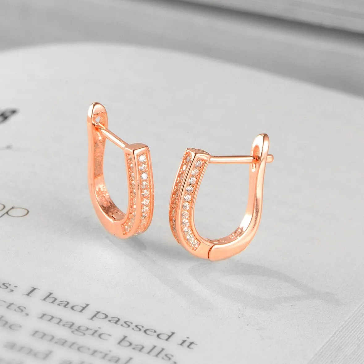 Bringing Chic Back Rose Gold Hoop 925 Silver Earrings