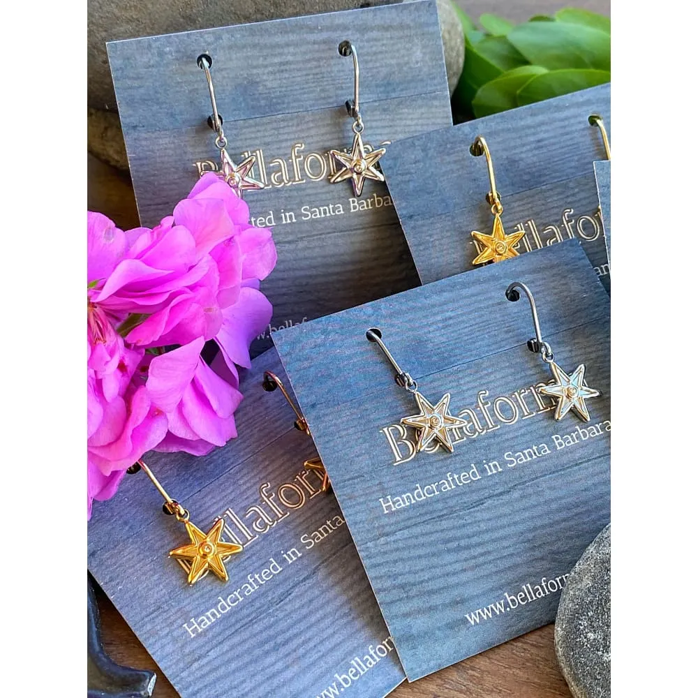 SHINING STAR EARRINGS